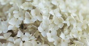 BTSアルバム『BE』全収録曲まとめ【読み方と楽曲について解説】