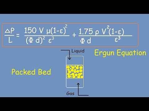 Ergun Equation and Packed Bed