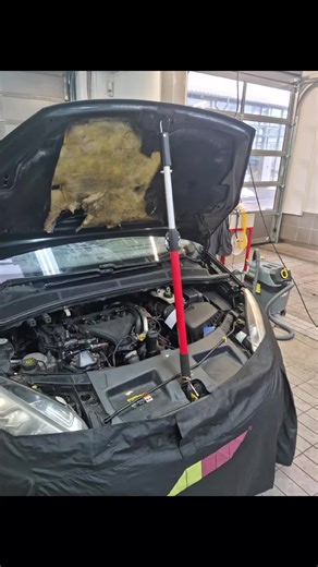 Auto Glass Replacement Tips for Windshield Issues