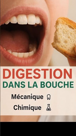 Digestion in the mouth: mechanics and chemistry #life sciences #science #education