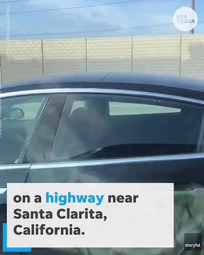 Tesla driver found sleeping at the wheel while 'driving'