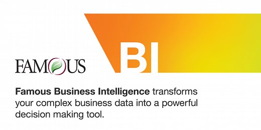 Business Intelligence - Famous Software