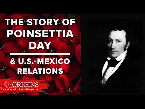 The Story of Poinsettia Day and U.S.-Mexico Relations