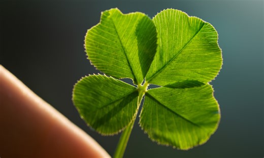 7 Strategies to Increase Your Luck By Being Smart!