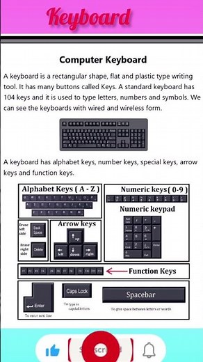 "Computer Keyboard Basics | Keyboard Keys Explained"#computereducation #computershorts #studycore
