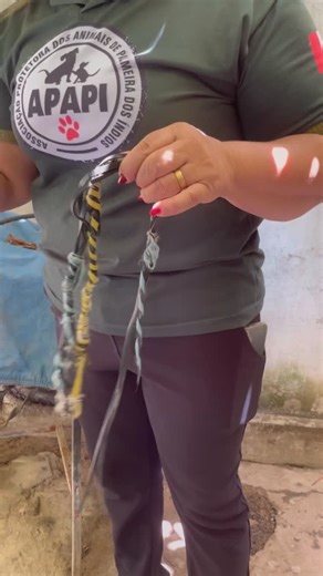 APAPI Palmeira dos Índios -AL | Se maltratar a gente vai atrás, maltratar animais é crime, se não gosta não pegue para criar, e se criar cuide! #cadeiaparamaustratos 🚨🚨🚨🐾 | Instagram