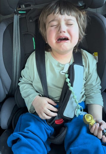 High-Stakes Mediation with a Toddler: A Lesson in Patience