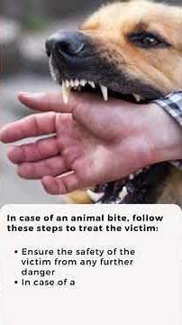 Are animal ticks harmful to humans? | Apollo Hospitals