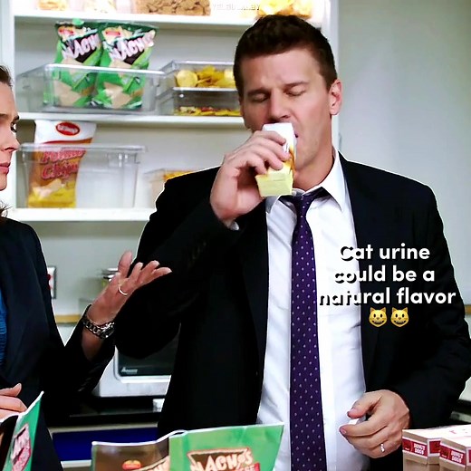 9x10 Humor Edit 😌 #bones #bonestvshow #bonestvshowedit #seeleybooth #temperancebrennan #lancesweets #jackhodgins #angelamontegro