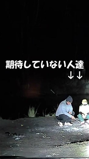 The fishing rod bell rang lol .夜に二時間限定で釣りに来たら。。。#shorts #釣り #夜釣り #オーストラリア #fishing