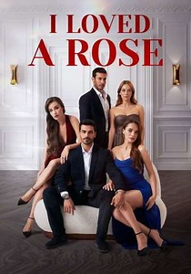 Ask Yarası (2026) - TV Show
