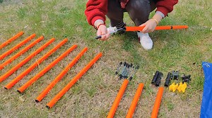 Watch dog agility training equipment on Amazon Live