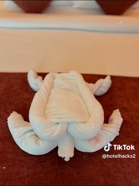 Only real towel artists can do this 🐢🧺 Want to learn how? 💬 Drop a comment and I’ll share the full video next! #TowelFoldingSkills #TortoiseTowel #HospitalityTips #housekeeping #towelart #tiktok #fyp #1000k