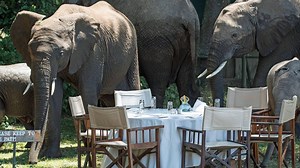 Botswana Mobile Camping Safari