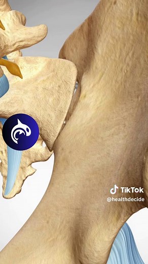 See how a Sacroiliac (SI) Joint Fusion Works #sijointfusion #stem #medtok Explore the Sacroiliac (SI) joint fusion procedure in a high-definition 3D animation. This non-narrated video illustrates the surgical process of stabilizing the SI joint to alleviate pain and restore mobility. Watch as implants are precisely positioned to fuse the sacrum and ilium, promoting stability and reducing joint movement. Perfect for understanding how SI joint fusion addresses chronic lower back pain and enhances