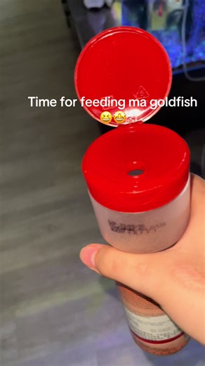 Feeding Goldfish: Tips for a Healthy Aquarium