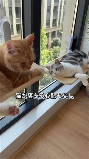#猫ハンモック#猫のいる暮らし#便利グッズ#ペット用品 #猫好きさんと繋がりたい