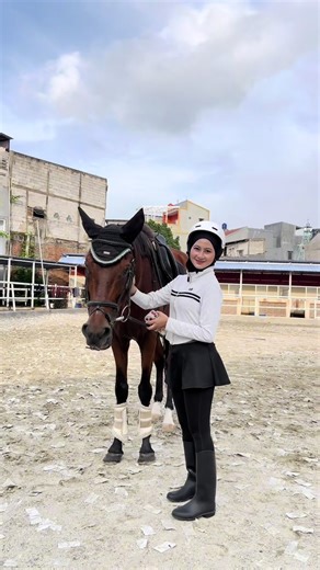 Mastering the Transition from Walk to Trot in Equestrian Riding