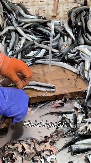 Chunming Zhu | Fish processing#food #seafood #vegetables #fish #machine | Instagram