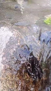 water sounds for sleep and relaxation