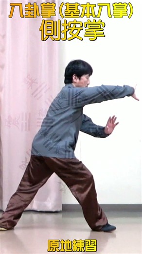 八卦掌基本八掌 側按掌 原地練習
