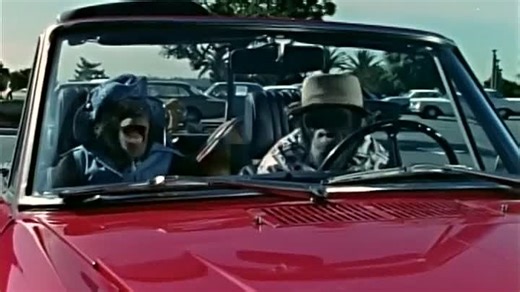 Lancelot Link Secret Chimp S01E04 - C H U M P Takes A Holiday To Tell the Tooth