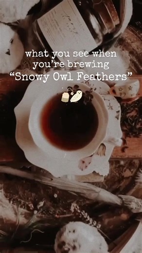 Shadow & Flame ✨ Julia on TikTok