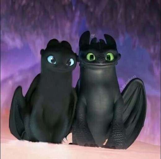Another Night Fury - The Light Fury and Toothless