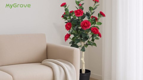 3FT Artificial Camellia Tree, 2 Pack Fake Camellia Tree Artificial Tree, Faux Floral Plants in Cement Pot, Greenery Potted Plant for Indoor Outdoor Home Office Porch Decor (Orange)