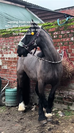 From Cob Hater to Cob Lover: My Transformation