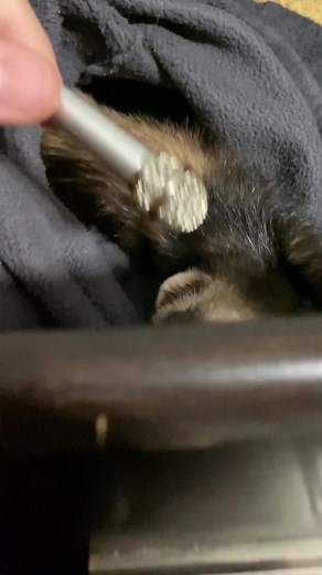 When She Realized She Was Being Recorded