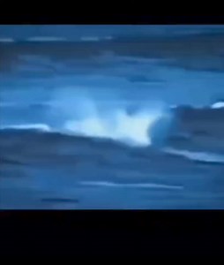 12K reactions · 1.3K shares | THIS Verifies THEIR Existence #strangerthings Please check out my new page Horror Haven https://www.facebook.com/share/F3aZ5A7zwgZLzqCV/?mibextid=qi2Omg | All Spooki | Facebook