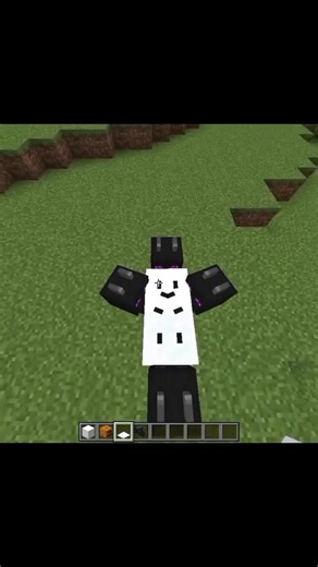 Second snow golem Minecraft moment