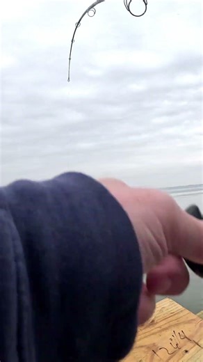 Current in the water must of taking my fishing line! #fishing #shorts