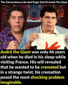 André the Giant was only 46 years old when he died in his sleep while visiting France. His will revealed that he wanted to be cremated—but in a strange twist, his cremation posed the most shocking problem imaginable. | Factinate
