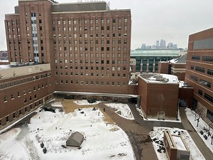 Health Insurance Companies in MN: Top 19 Options Compared