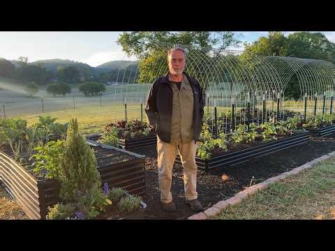 I Started a NEW Youtube Channel For my Yard To Table Series!