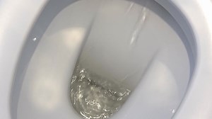 Download Flushing water into a white toilet in a close up view for free