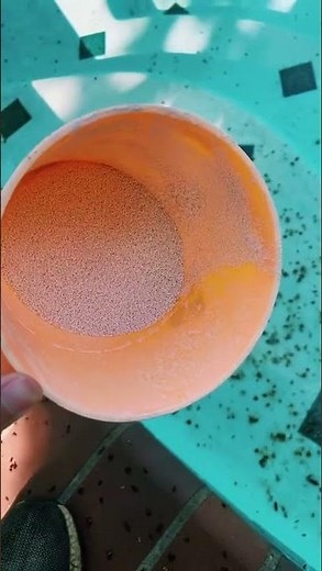 How to Remove Pool Stains with Chlorine
