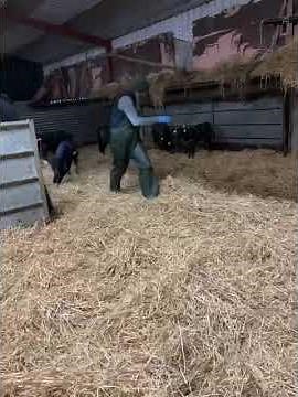 Agrihealth Calf Jacket