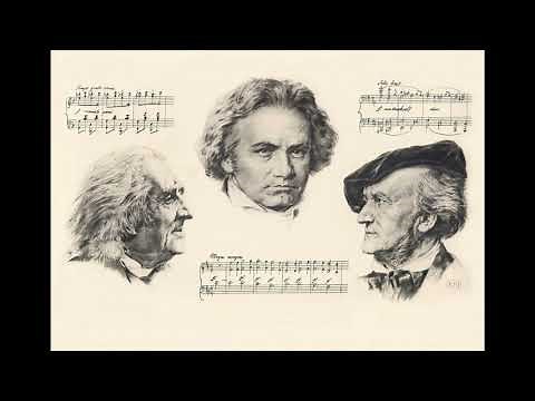 Concert Overture No.1 in D minor - Richard Wagner