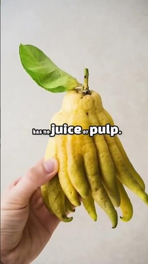 Top 3 Weirdest Fruits You Won't Believe Exist