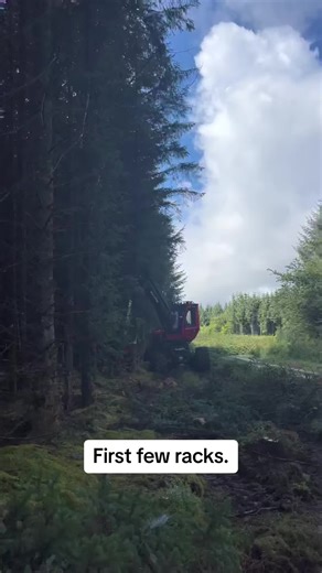 So much easier when you have something to follow. #forestry #forest #wood #logging #forestrymachine