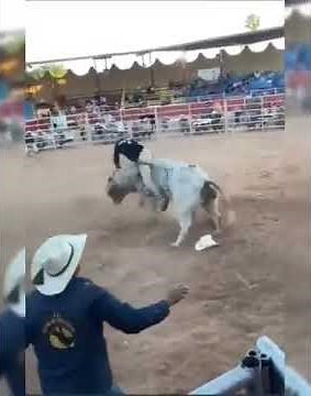 Bull Fight Accidents - dangerous bull fight accidents compilation