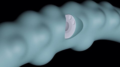 Eddie by Giddy (2-Pack) - Wearable ED Treatment for Men, Urologist-Designed FDA Class II Medical Device (Size: C - Wide Width)