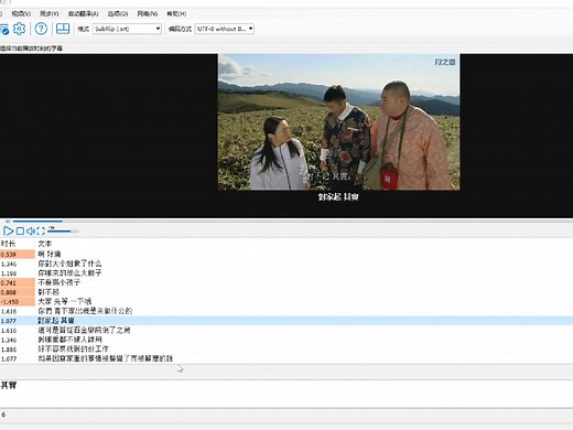 第一次用Subtitle Edit校对字幕 不熟悉