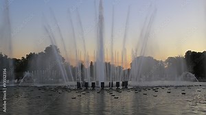 Fountain in Gorky Park. Moscow.