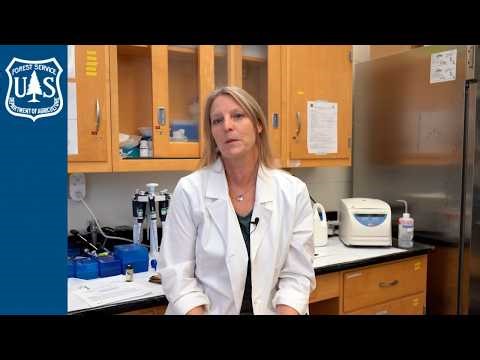Meet the Scientist: Kristy Pilgrim