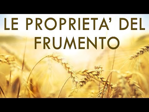 Proprietà del Frumento - Tutto quello che c'è da sapere sul Grano