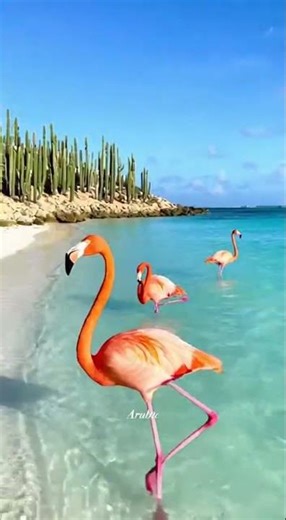 Top Caribbean Islands You Need to Visit for the Ultimate Tropical Vacation